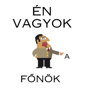 Én vagyok a főnök